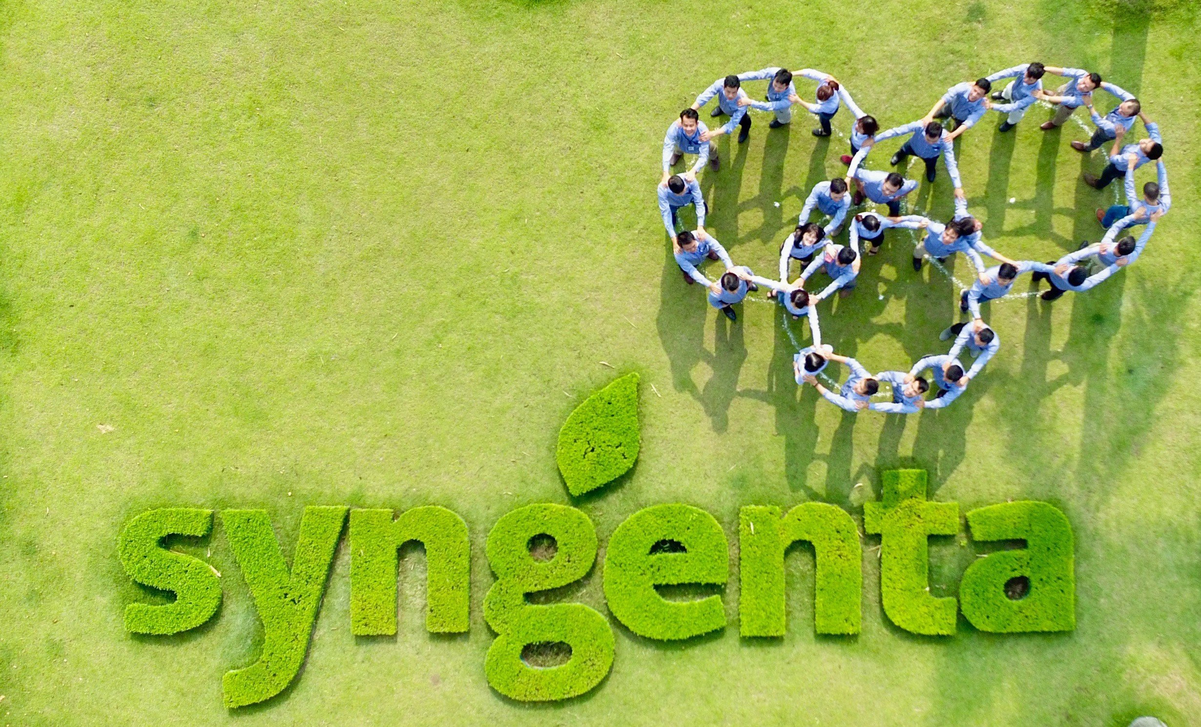 ESEC implements the project “Active Harmonic Control Solution” for Syngenta